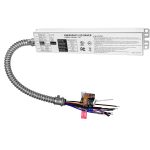 40W AC 100-347V Emergency Backup Driver | LSA40FY-170 - Image 2