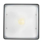 30W/45W/70W LED Canopy Light – 3CCT Selectable | DLC Premium | Parking Canopy Light - Image 2